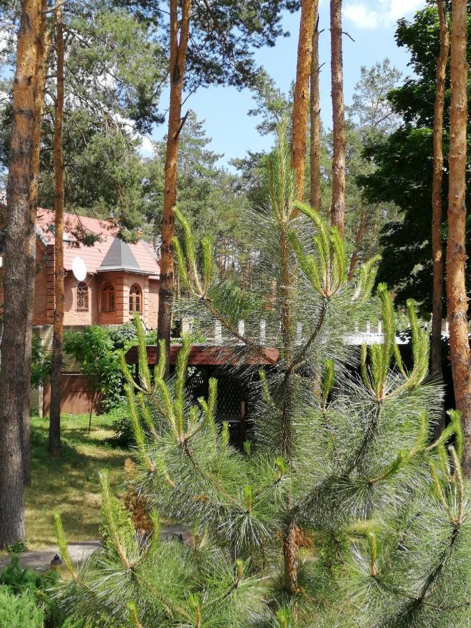 Отель Conference Hall Irpin' Экстерьер фото